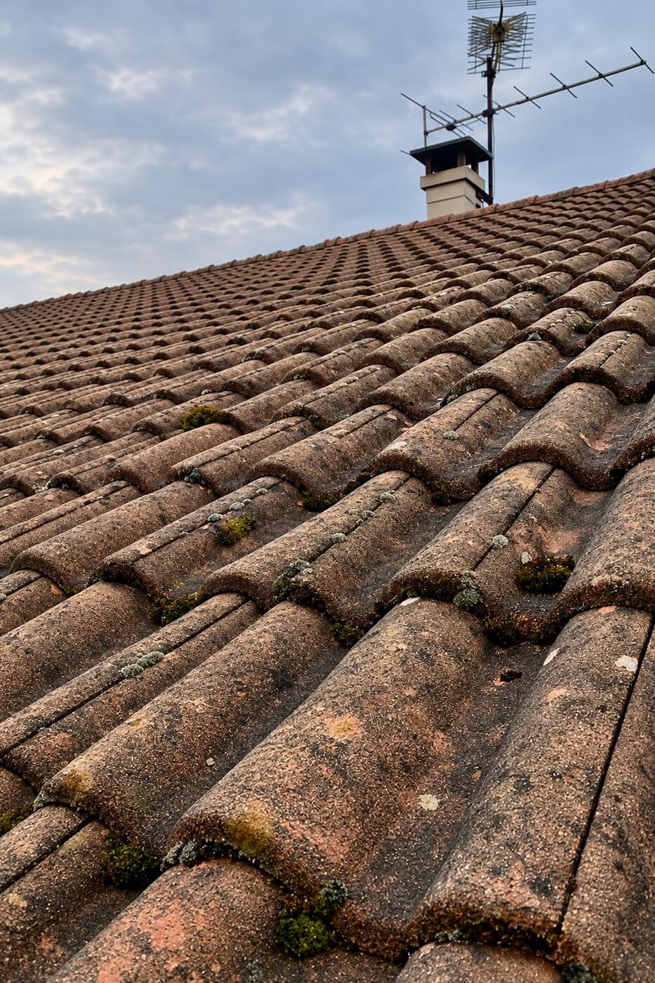 Avant traitement : gros plan sur des tuiles béton, avant et après traitement